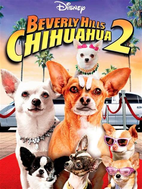 Cartel De Un Chihuahua En Beverly Hills Poster Sensacine