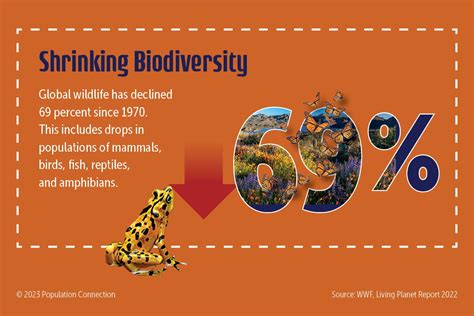 Loss Of Biodiversity Infographic Population Education