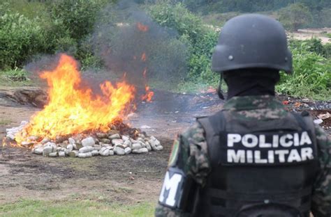 Pmop Incinera Paquetes De Marihuana Stn Honduras