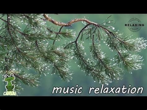 Suara Huajan Pengantar Tidur Music Instrumental Relaxing Relaksasi