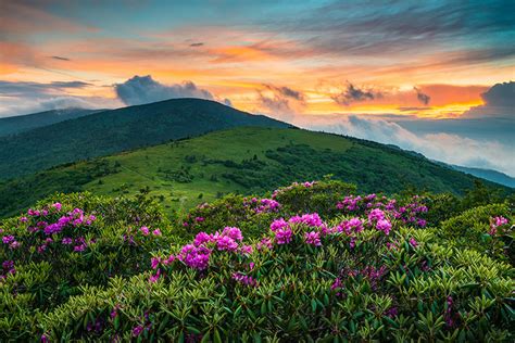 Landscape Photography Roan Mountain Appalachian Trail Sunset Prints