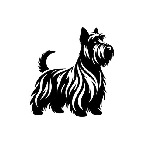 Scottish Terrier Vector Silhouette Illustration On White Background