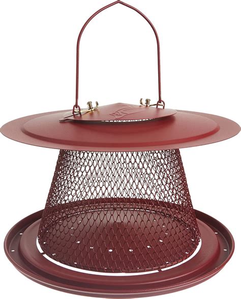 The Perky Pet Red Cardinal Bird Feeder Review Winter Britt Shifting