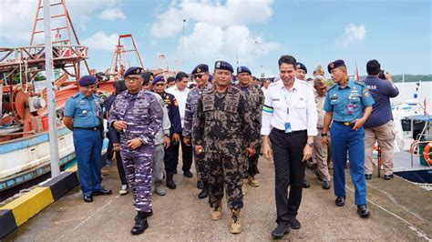 Foto Kkp Gelar Operasi Cegah Penyelundupan Benih Bening Lobster Yang