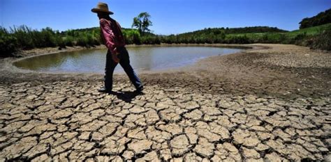 Seca Faz Nordeste Perder Um Pernambuco De Rea Agr Cola Not Cia No