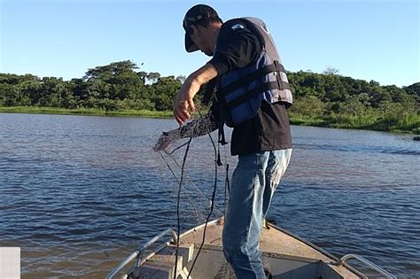 Defeso Da Piracema Come A Na Quarta Feira E Ter Intensa Fiscaliza O