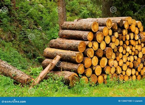 Stack Of Wood Stock Photo Image Of Background Chop 13447100