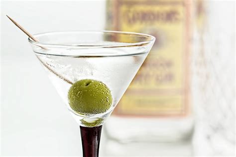 🍸 Martini Cocktail Recipe - Foodrinky