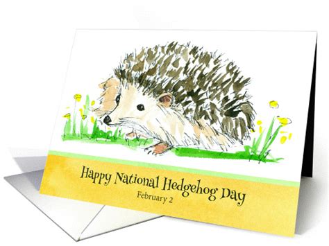 Happy National Hedgehog Day February 2 Animal Watercolor card