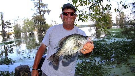 Santee Cooper Fishing Report For Early May Carolina Sportsman