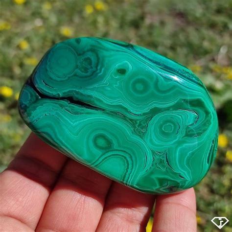 Malachite Naturelle Polie Pierre De Collection Du Congo