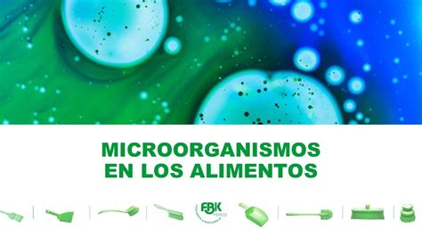 MICROORGANISMOS EN LOS ALIMENTOS FBK México