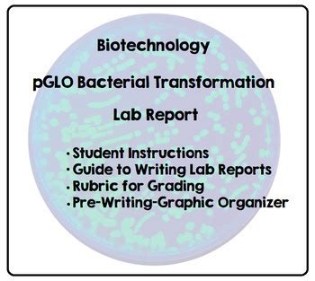 Biotechnology PGLO Bacterial Transformation Lab Writing A Lab Report