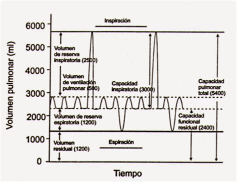 Vol Menes Y Capacidades Pulmonares