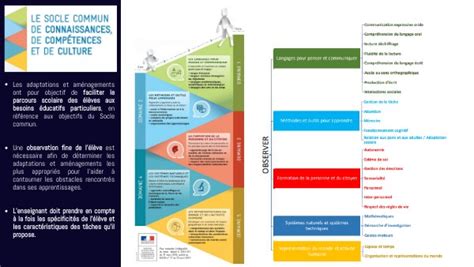 Pap Socle Commun De Connaissances De Comp Tences Et De Culture