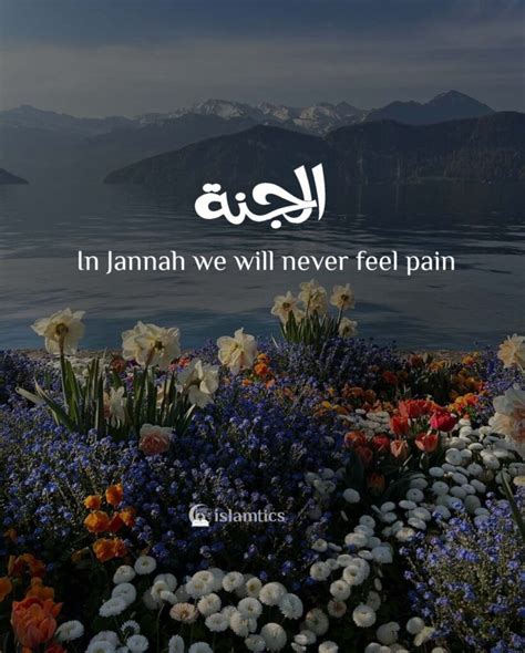 40+ Beautiful Jannah Quotes (with Images) | islamtics