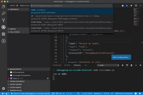 Vscode 调试中 Launch Json 配置不完全指南 小胡子哥的个人网站