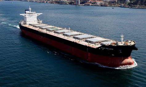 Top Biggest Bulk Carriers In The World