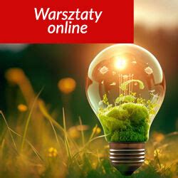 Realizacja Inwestycji Oze I Wykorzystanie Produkowanej Energii Z