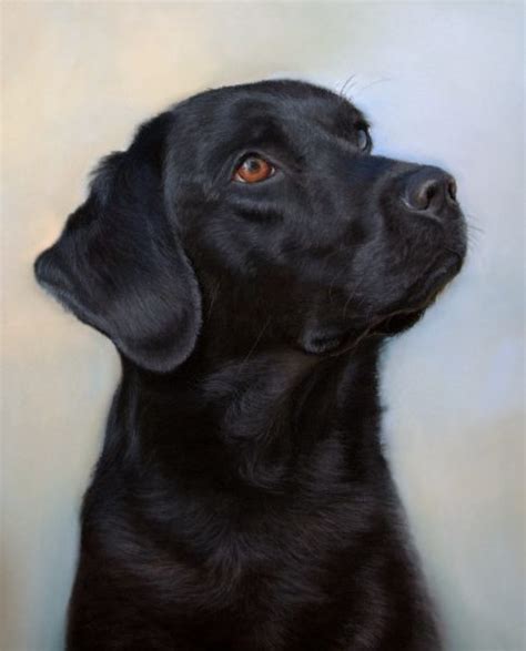 Black Labrador Painting By Helen Chugg Helens Pet Portraits