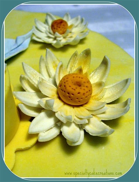 Specialty Water Lily Cake Specialty Cake Creations