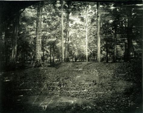 Landscape Photography By Sally Mann Landscape Architecture Platform