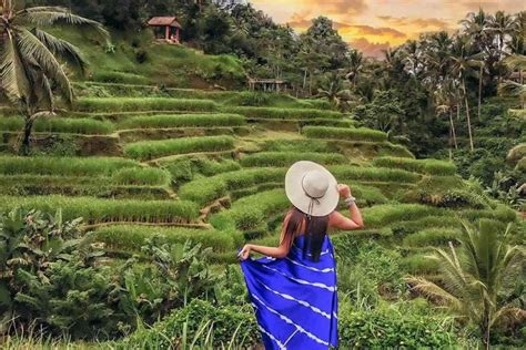 Ubud Excursi N Al Bosque De Los Monos La Cascada Y La Terraza De