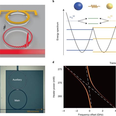 Dissipative Soliton Dynamics In Photonic Molecules A Simulation Of The