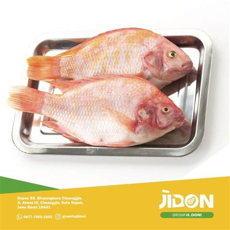 Jual Produk Ikan Nila Segar Ikan Nila Termurah Dan Terlengkap April