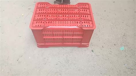 Green Fruit And Vegetables Plastic Crates Outer Dimension Lxwxh