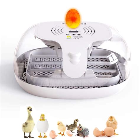 Jian Ya Na Eggs Incubator Automatic Hatch Chicken Duck Egg Turner