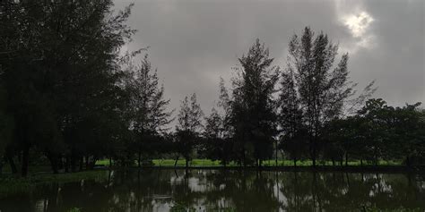evening view pics
