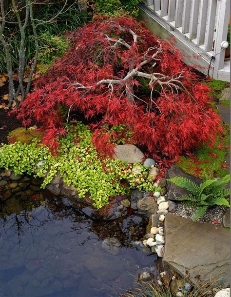 18 Essential Elements Of Authentic Japanese Garden Design Japanese