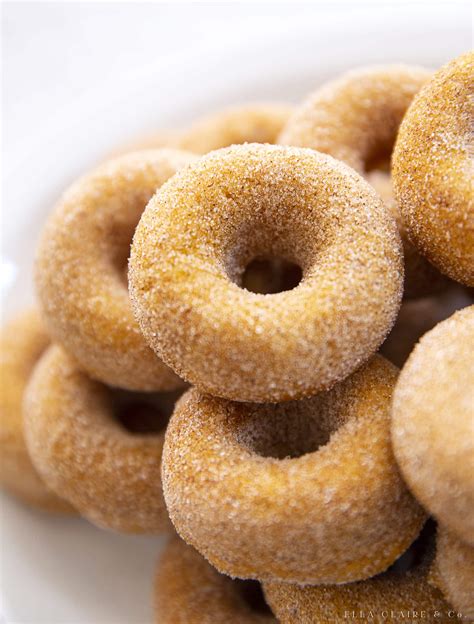 Cinnamon Sugar Donut