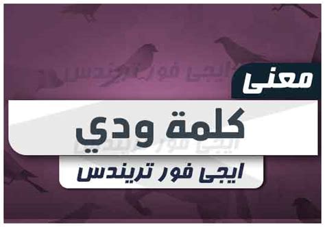 معنى كلمة ودي في السوشيال ميديا 2023 ايجى فور تريندس
