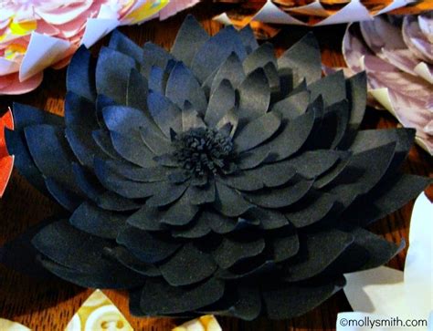 Molly Smith: Handmade Layered Paper Flowers