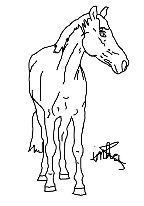 Standing Horse Line Art By Imkaislief11 On Deviantart