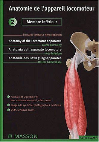 Anatomie de l appareil locomoteur CD ROM 2 Membre inférieur