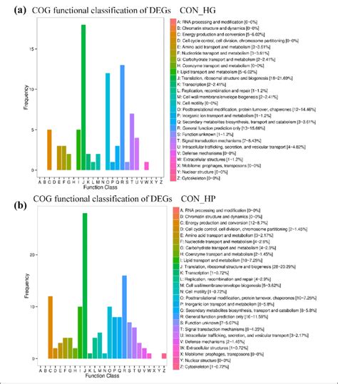 Cog Function Classification Of Degs In Hu Lambs Ruminal Epithelium