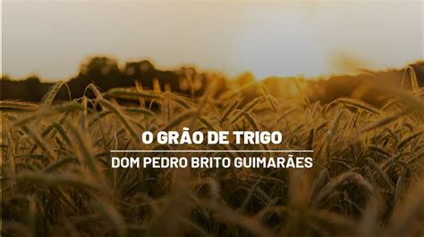 O Gr O De Trigo Ofert Rio Dom Pedro Brito Guimar Es Youtube