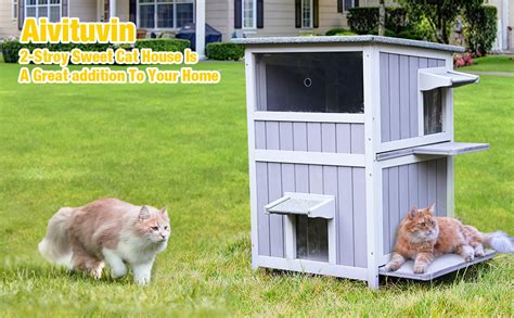 Amazon Aivituvin Outdoor Cat Housetwo Story Feral Cat Shelter