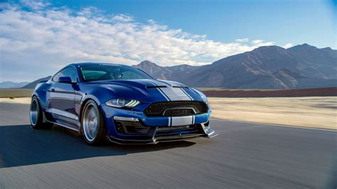 2024 Shelby Super Snake Tessi Marnie