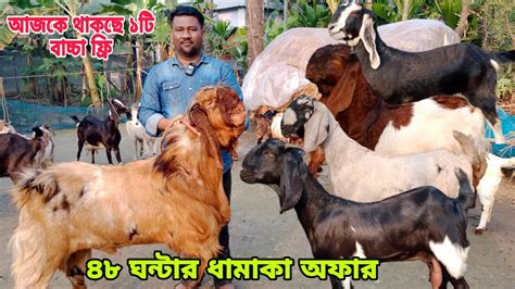 ৪৮ ঘন্টার ধামাকা অফার। মাথানষ্ট করা সর্বনিম্ন রেটে তোতাপুরীহরিয়ানা