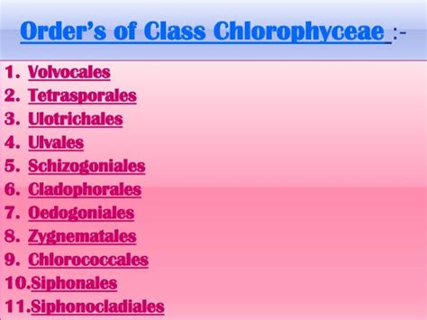 Classification of Chlorophyceae (Green Algae) » BIOLOGY TEACH