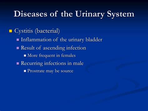 Ppt Diseases Of The Urinary System Powerpoint Presentation Free