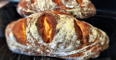 Artisan Bread 16.0 oz - ArtisAnn's Bakery