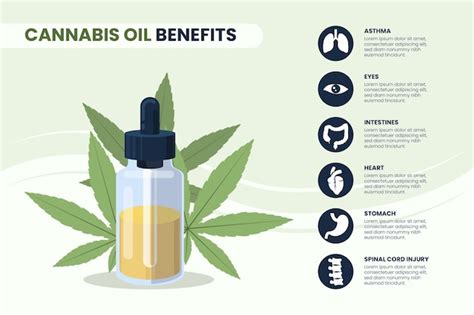 Beneficios Del Aceite De Cannabis Infografía Vector Gratis