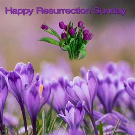 Copy Of Happy Resurrection Sunday Postermywall