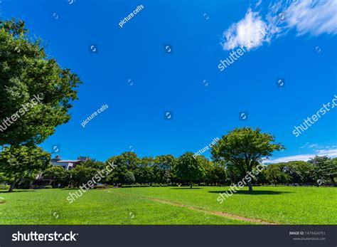 Koto Tokyo Japan July 26 2019 Stock Photo 1473424751 Shutterstock