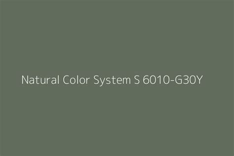 Natural Color System S 6010 G30y Color Hex Code